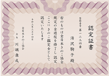 楷書体／表彰状／認定書